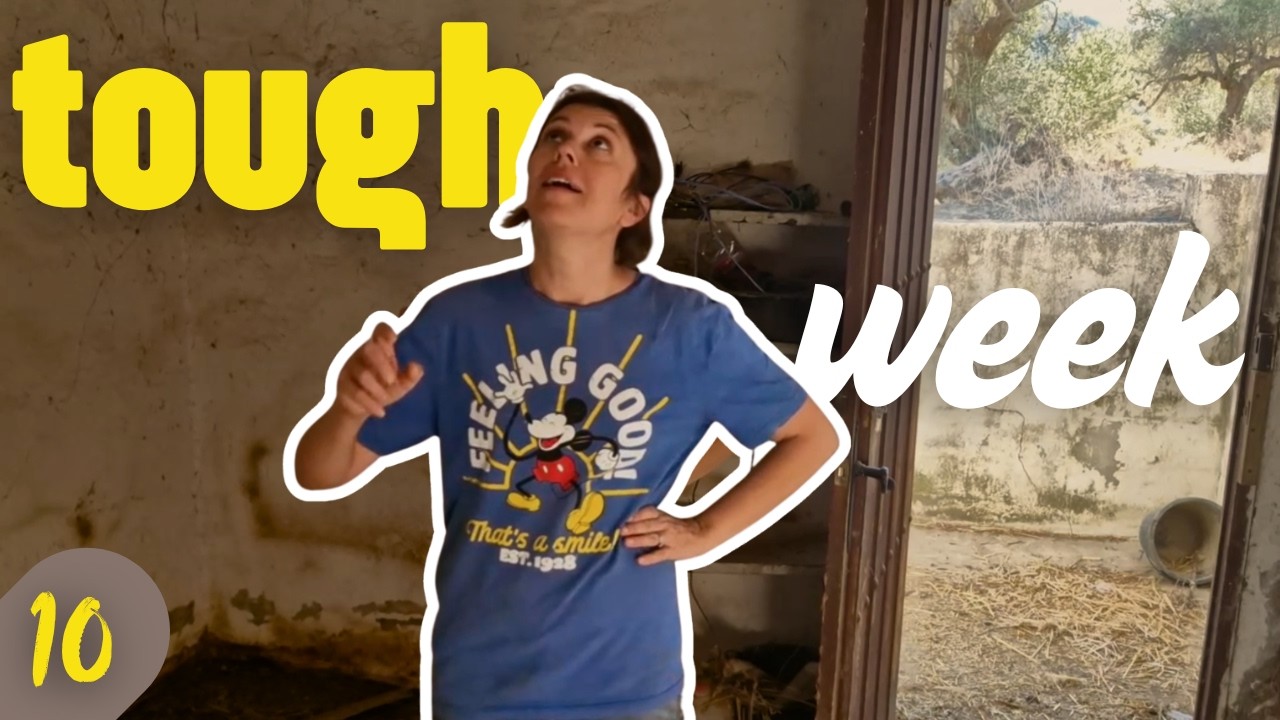 #10 We Had Bad News | Renovating a 5acre farm in Spain