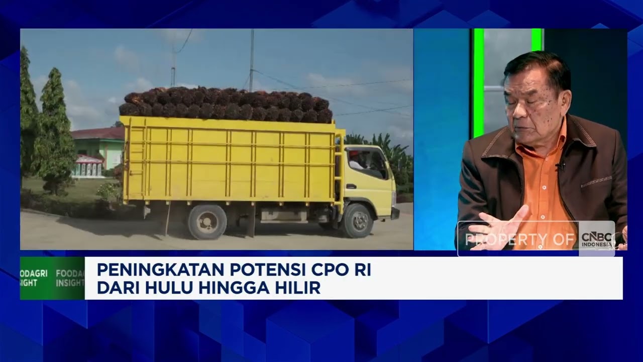 Alasan China Tertarik Beli Emisi Karbon di Industri Sawit Petani