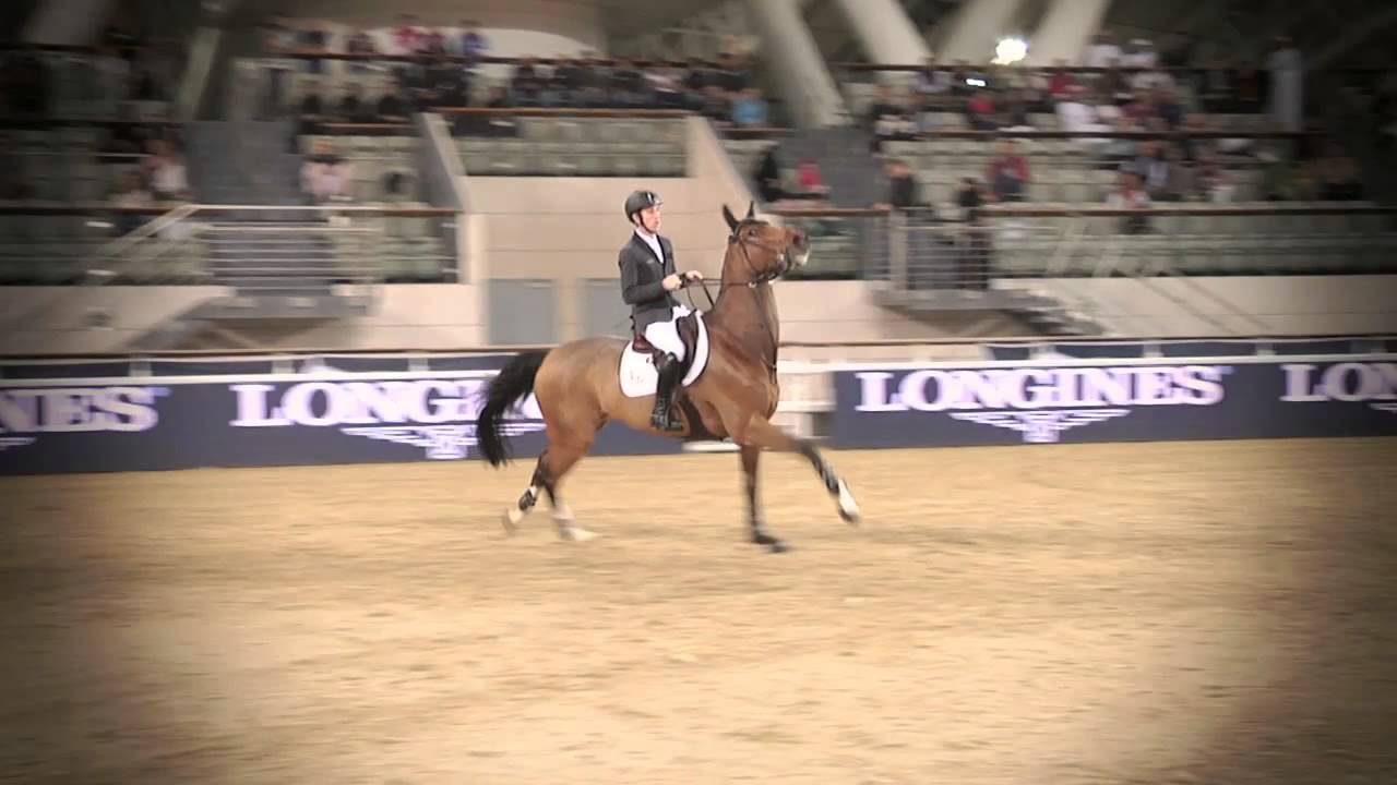 Longines Global Champions Tour 2013 - Doha - In Focus: Scott Brash's Hello Sanctos