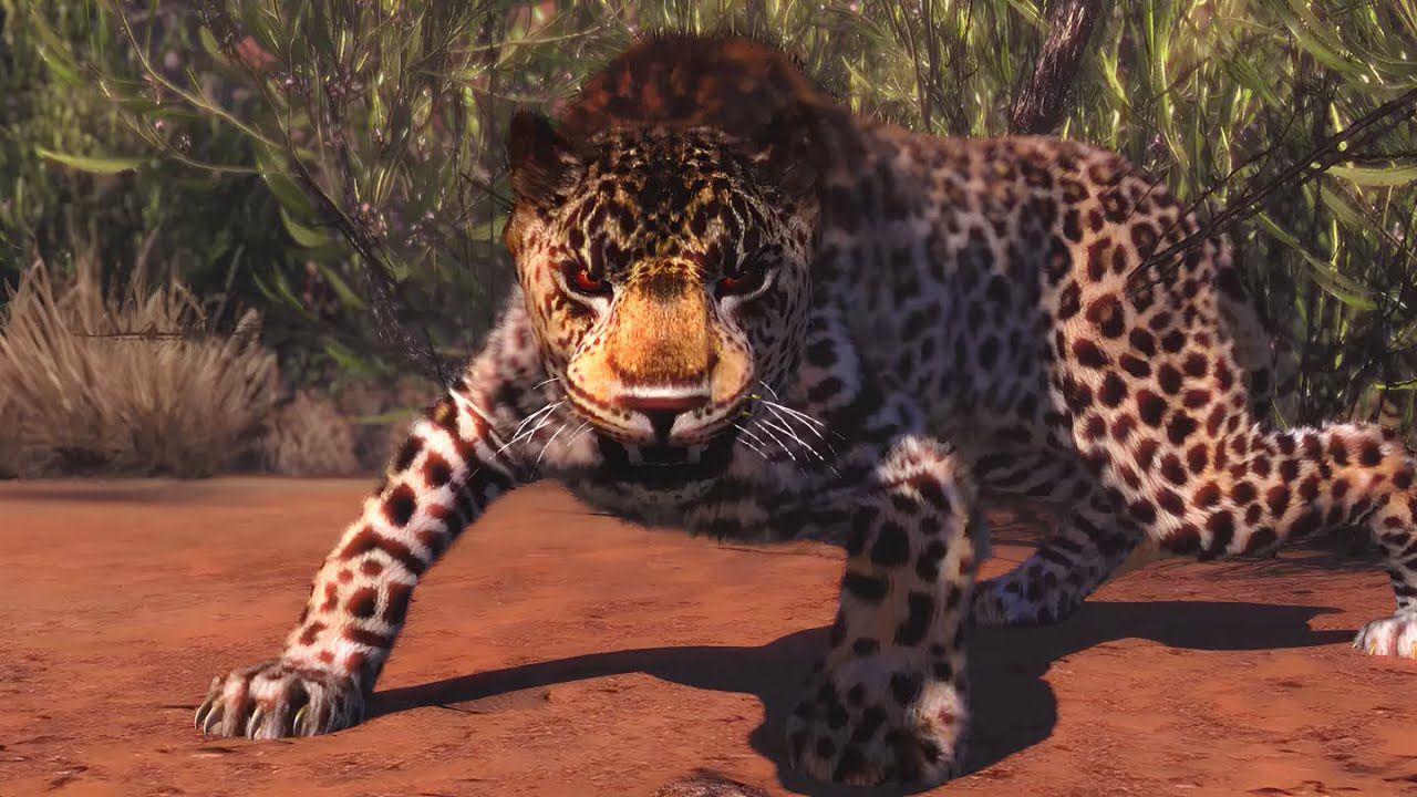 Hunting Leopard Leader - Cabela's African Adventure [4K 60 FPS]
