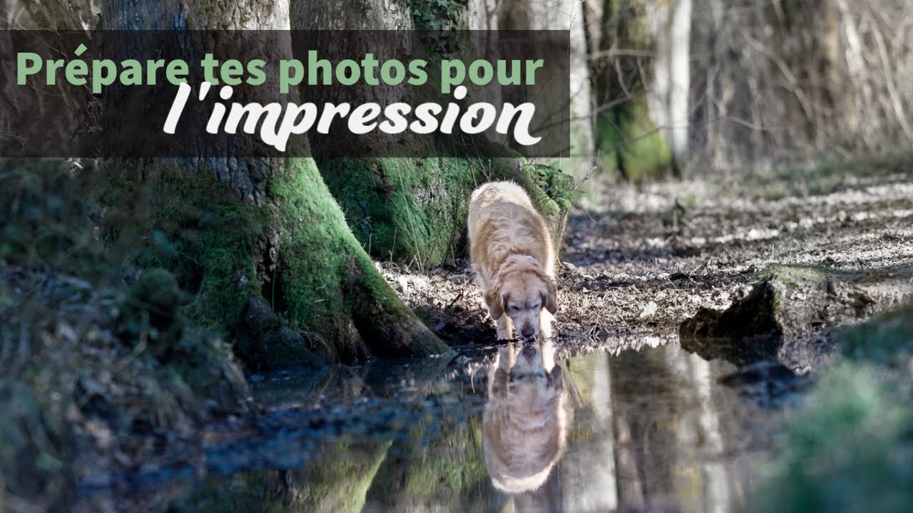 Prépare tes photos pour l'impression sur Lightroom ou Photoshop