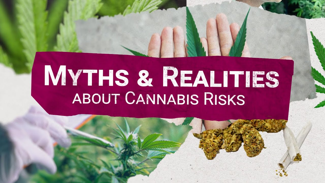 Myths vs. Realities: Exploring the world of cannabis use