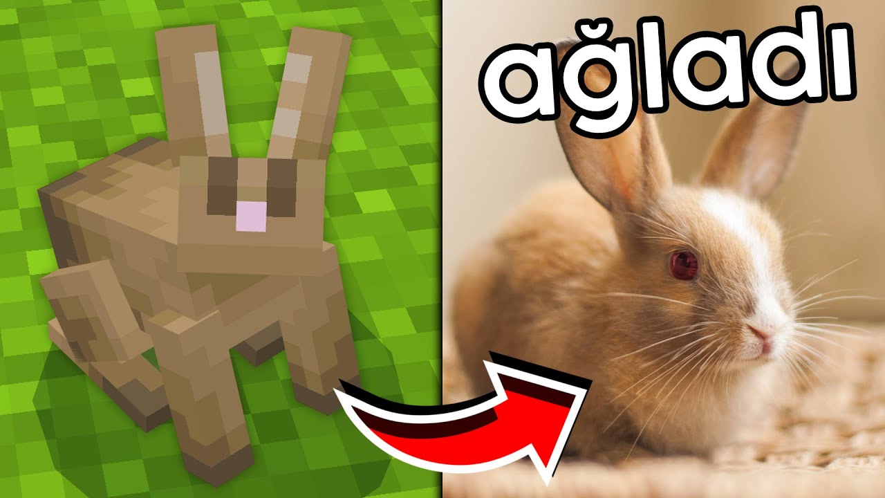 Kardeşime  Minecraft'taki TAVŞANINI Gerçek Hayatta Aldım!