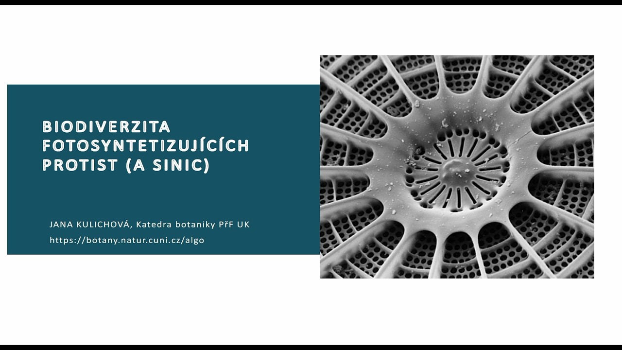 Pokroky v biologii 2026 (4.2) Jana Kulichová: Řasy a fotosyntetizující protista (PřF UK 21.2.2026)
