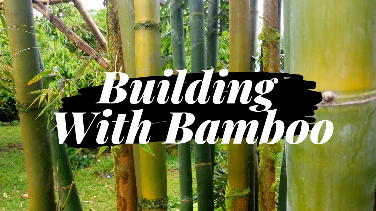 Building with Bamboo: Framing a Roof