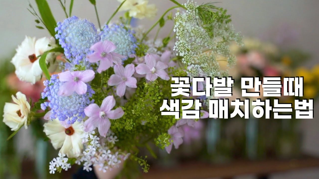 꽃다발 컬러 매치하는 방법🌷(ENG)