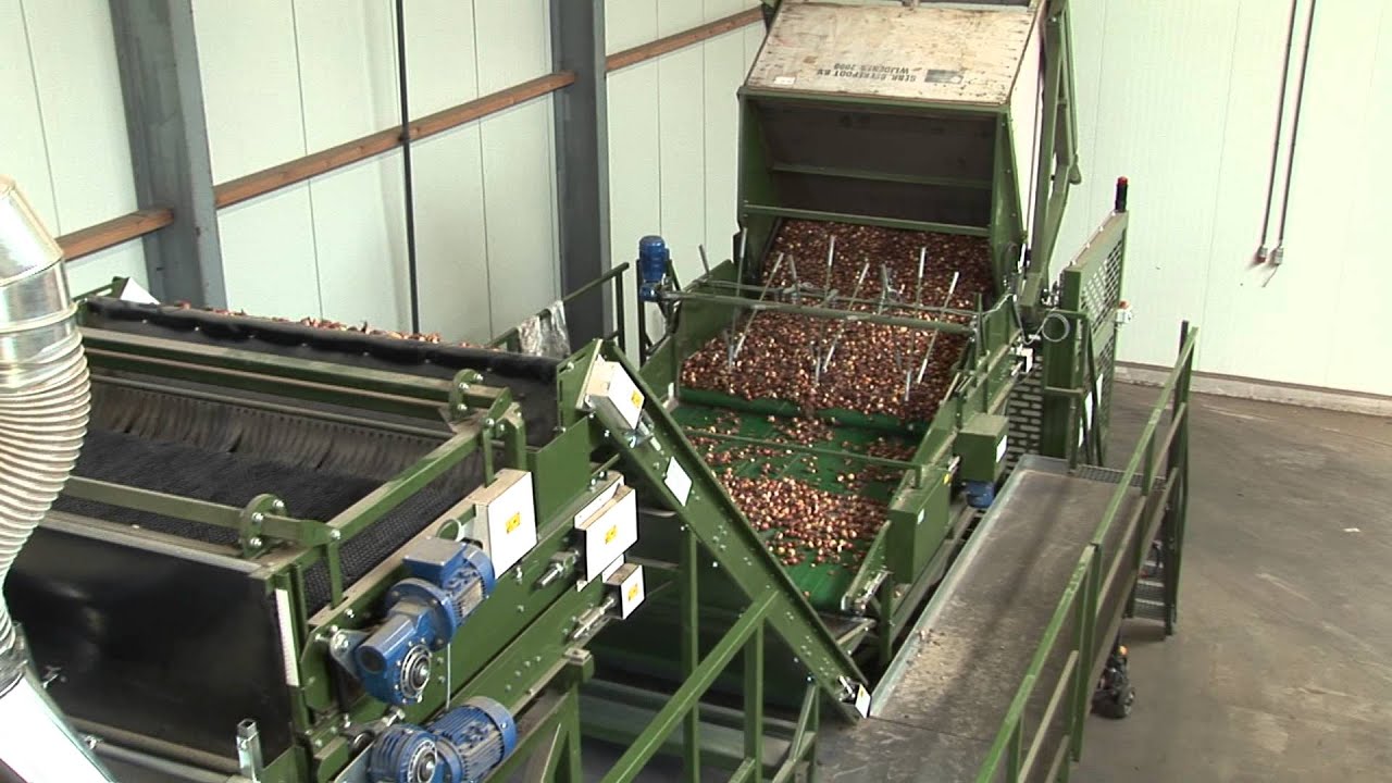 Schouten Bercomex - Sorteerlijn Beerepoot