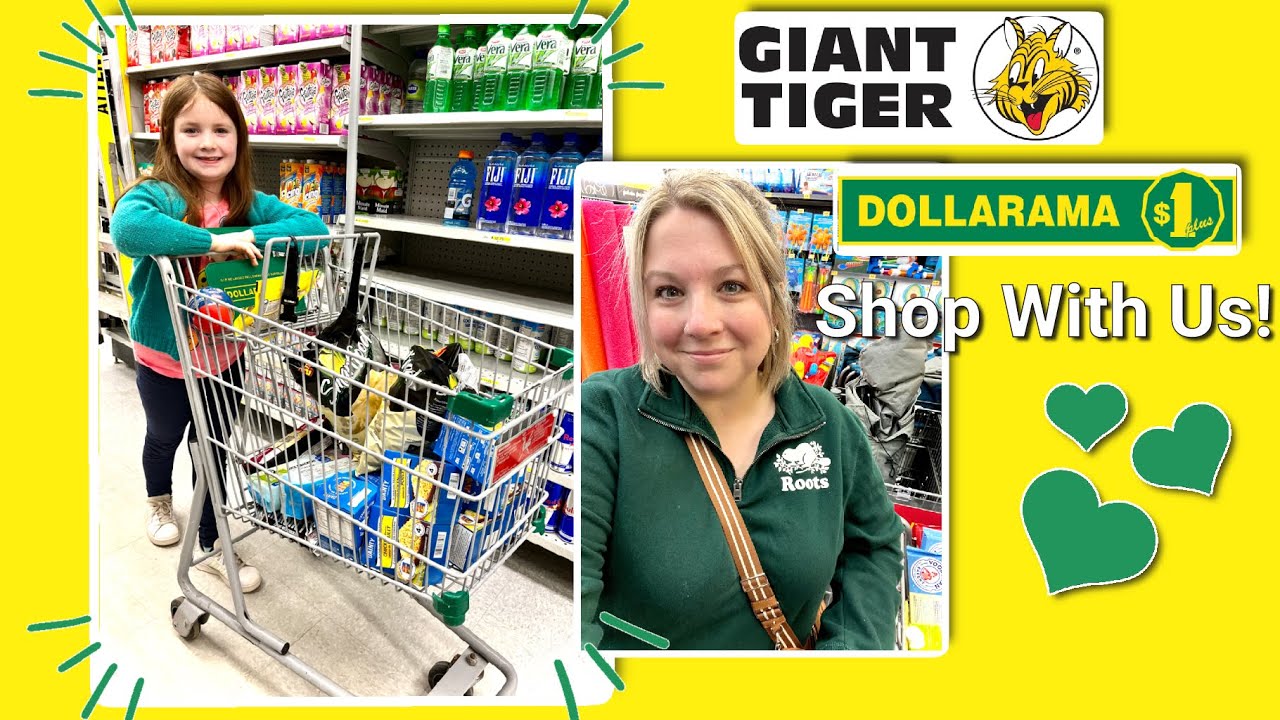 Giant Tiger & Dollarama Grocery Haul! Shopping For Deals!