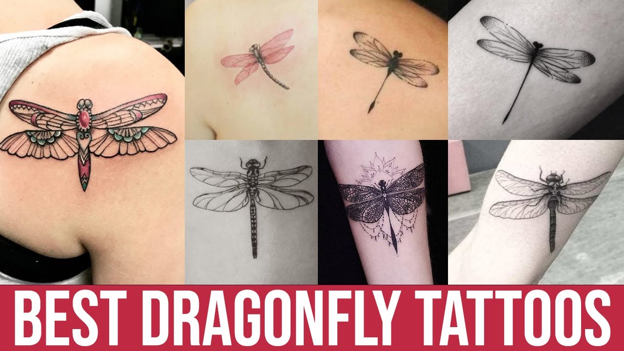 Top 40 Best Dragonfly Tattoos