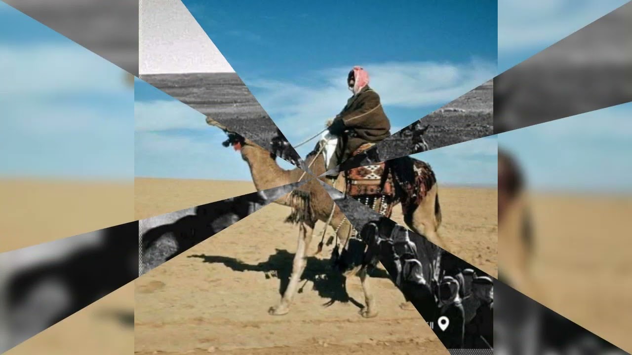 البومتيوت بالخنيسي صارت العركة شديدة