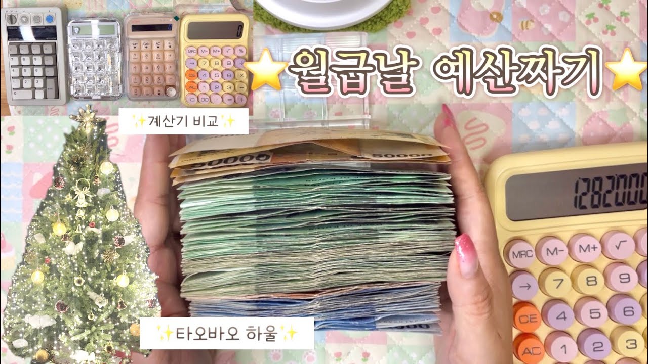 마음이 든든한 월급날 + 계산기 소개 + 타오바오 하울 |  현금생활챌린지