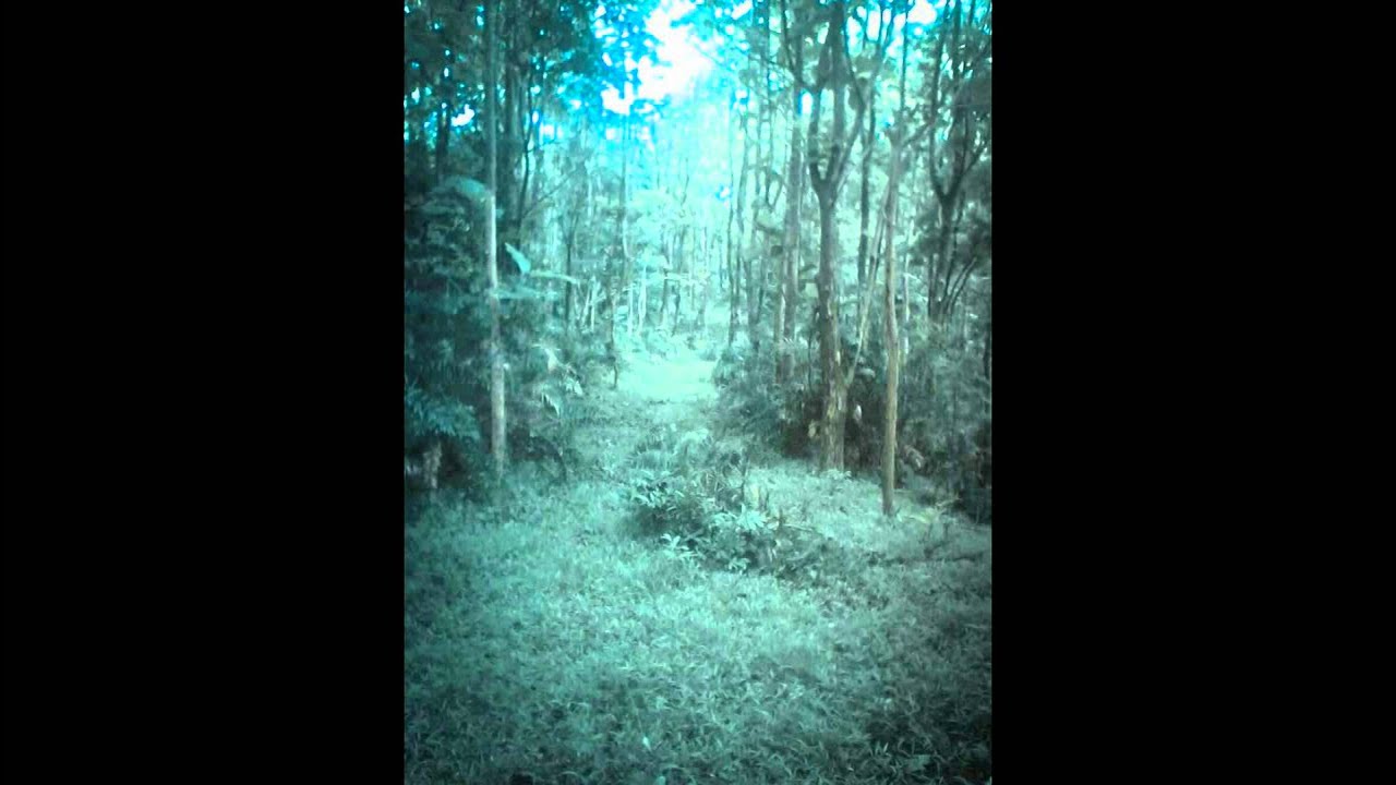 คนเลวที่สมควรลืม - Sound of Desolate