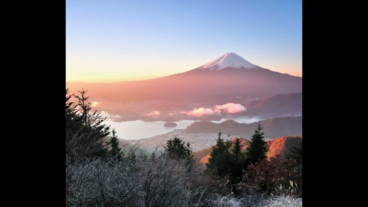 THE BEAT ORGAN - FUJI