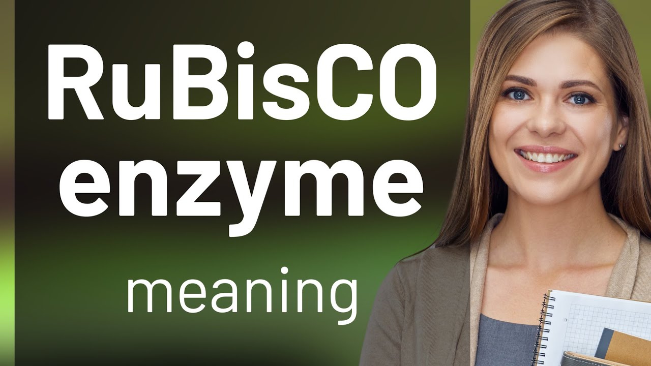 Understanding the RuBisCO Enzyme: A Key Player in Photosynthesis