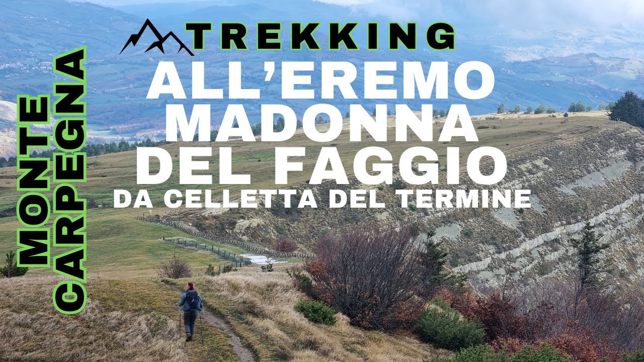 146ª escursione | Monte Carpegna | Da zona Celletta del Termine all'Eremo Madonna del Faggio | in 4K