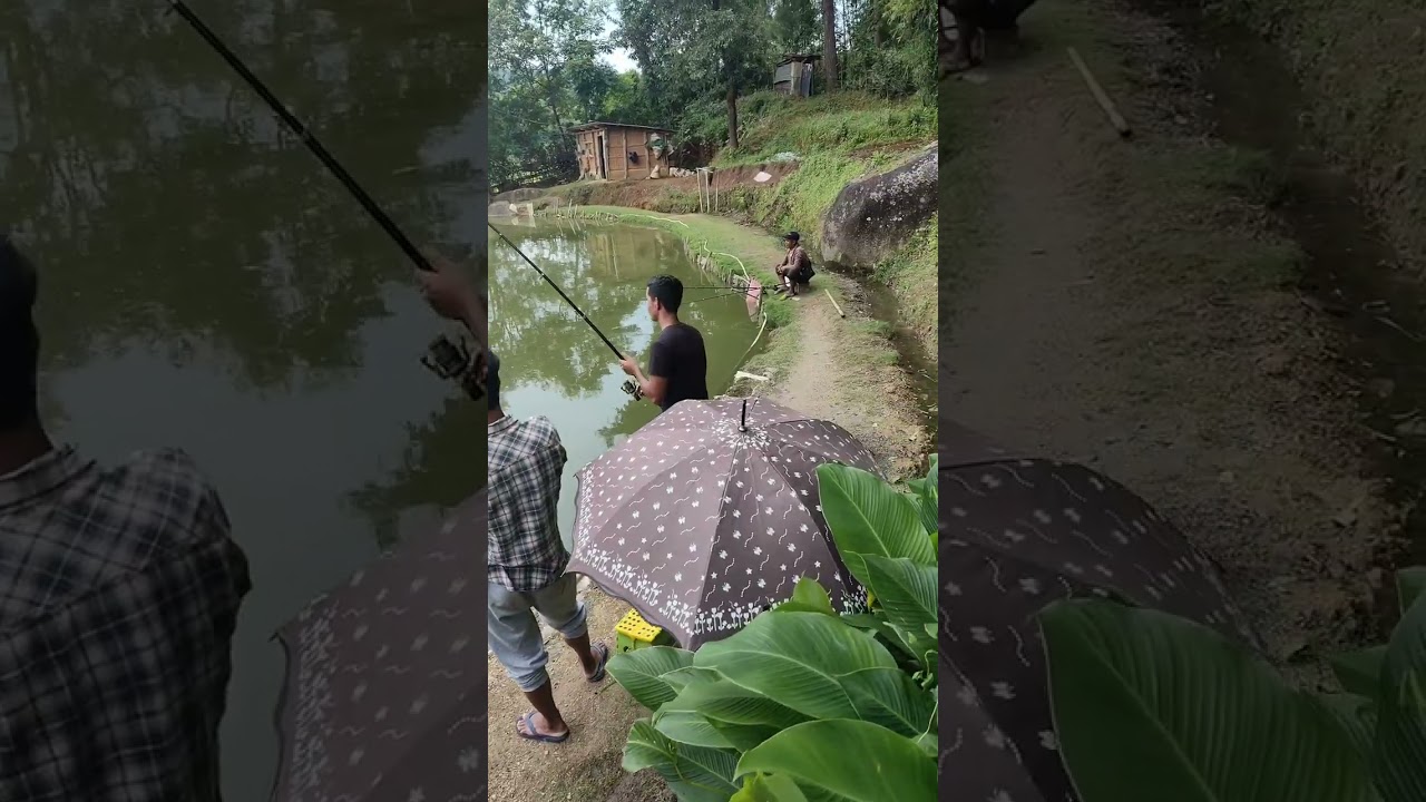 Ibang ka jingiakhun bad Ioh kynjut 4kg Kha Baw na pung Meiduh ha Kyrdem.