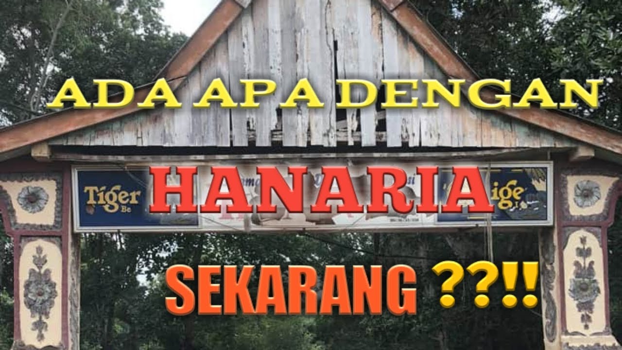 ADA APA DENGAN HANARIA SEKARANG!??