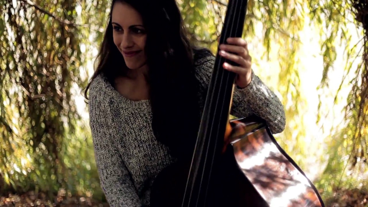 Babra band - south slavic music at the Danube
