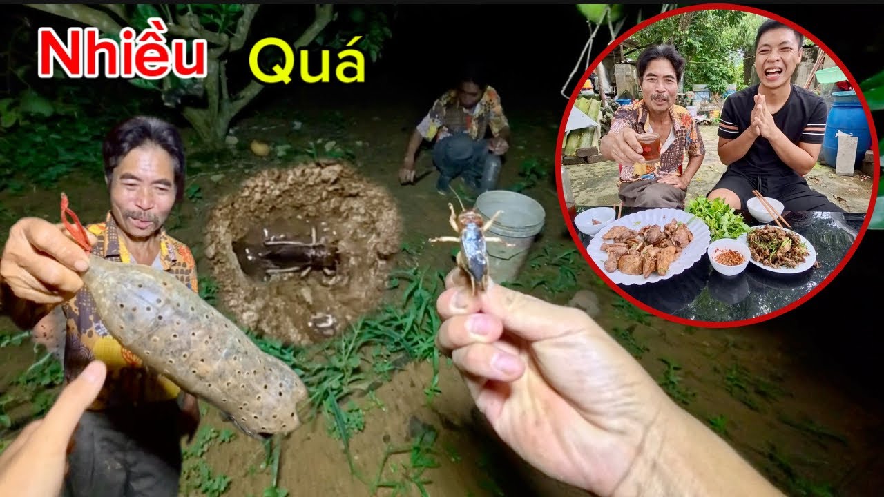 Sau Trận Mưa To Là Lúc Dế Mèn Kêu Nhiều Nhất, Hôm Nay 2 Bác Cháu Bội Thu Dế Mèn Rồi | HUY ANH TV