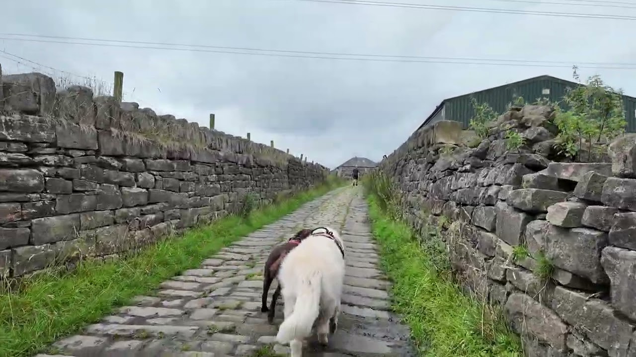Walk with us through Healey Dell