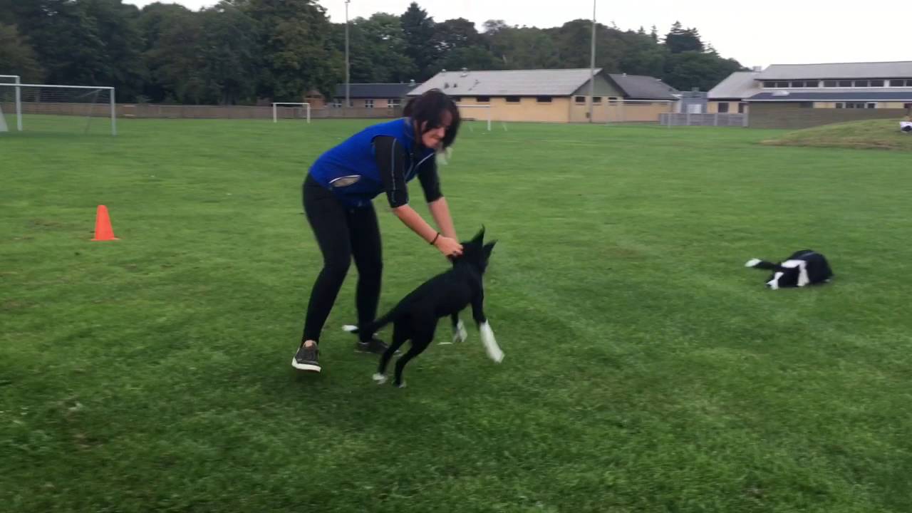 Training with Rayder - Simone Holdensgaard