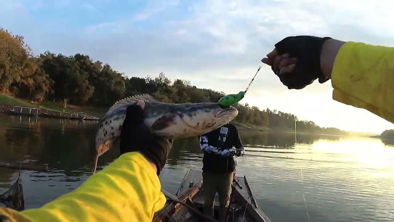 SPOT ANTI BONCOS - Berburu ikan toman dan gabus di waduk cacaban.
