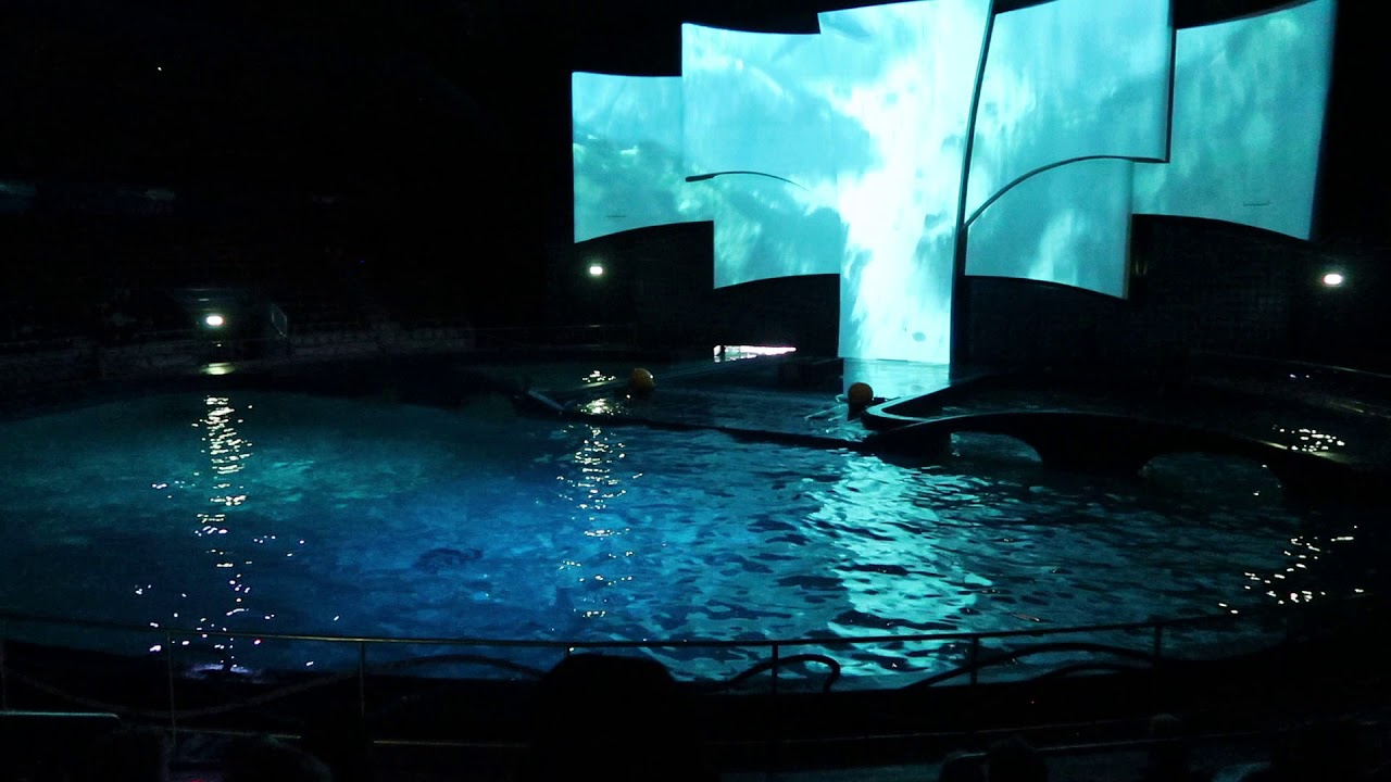 Dolfinarium Aqua Bella Show - HD 1080