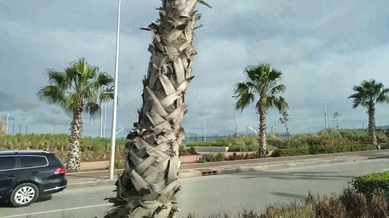 NADOR CITY| MARCHIKA AND FARKHANA