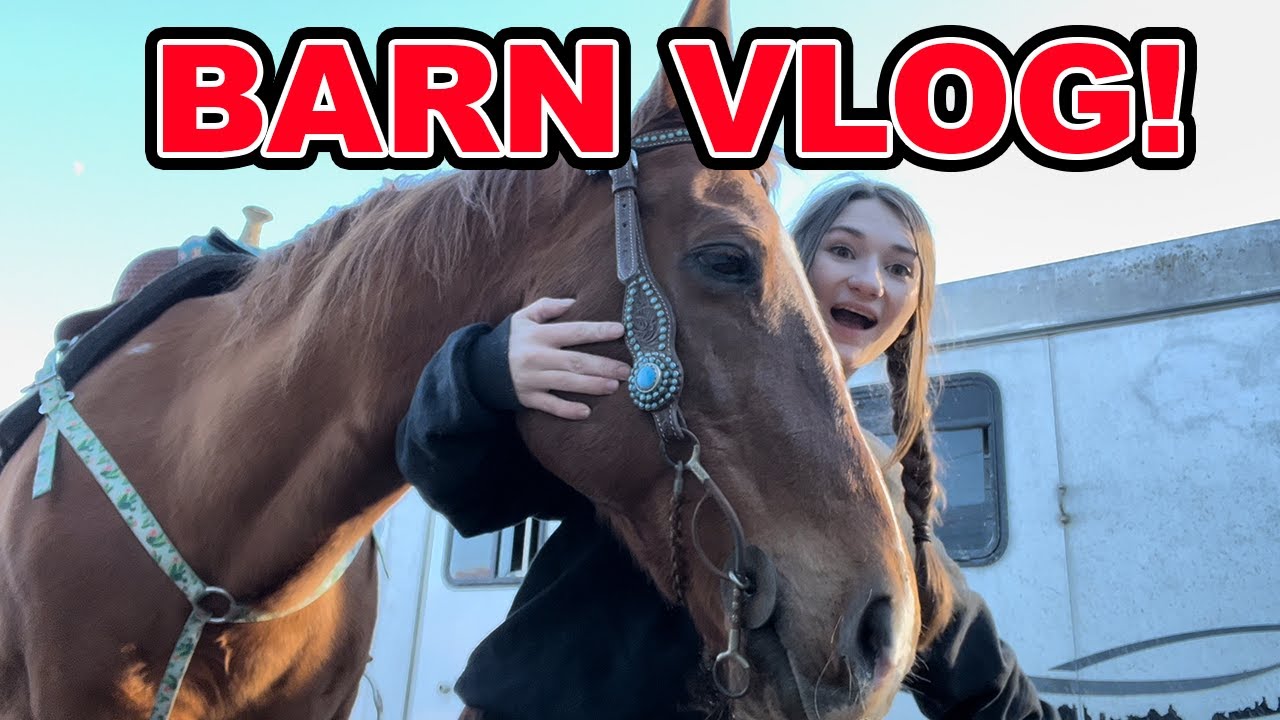 My Barn Routine! Vlogmas #4