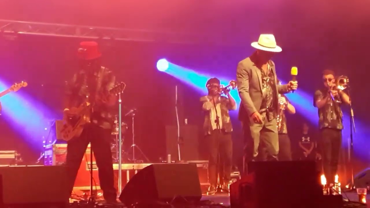 The Dualers - 