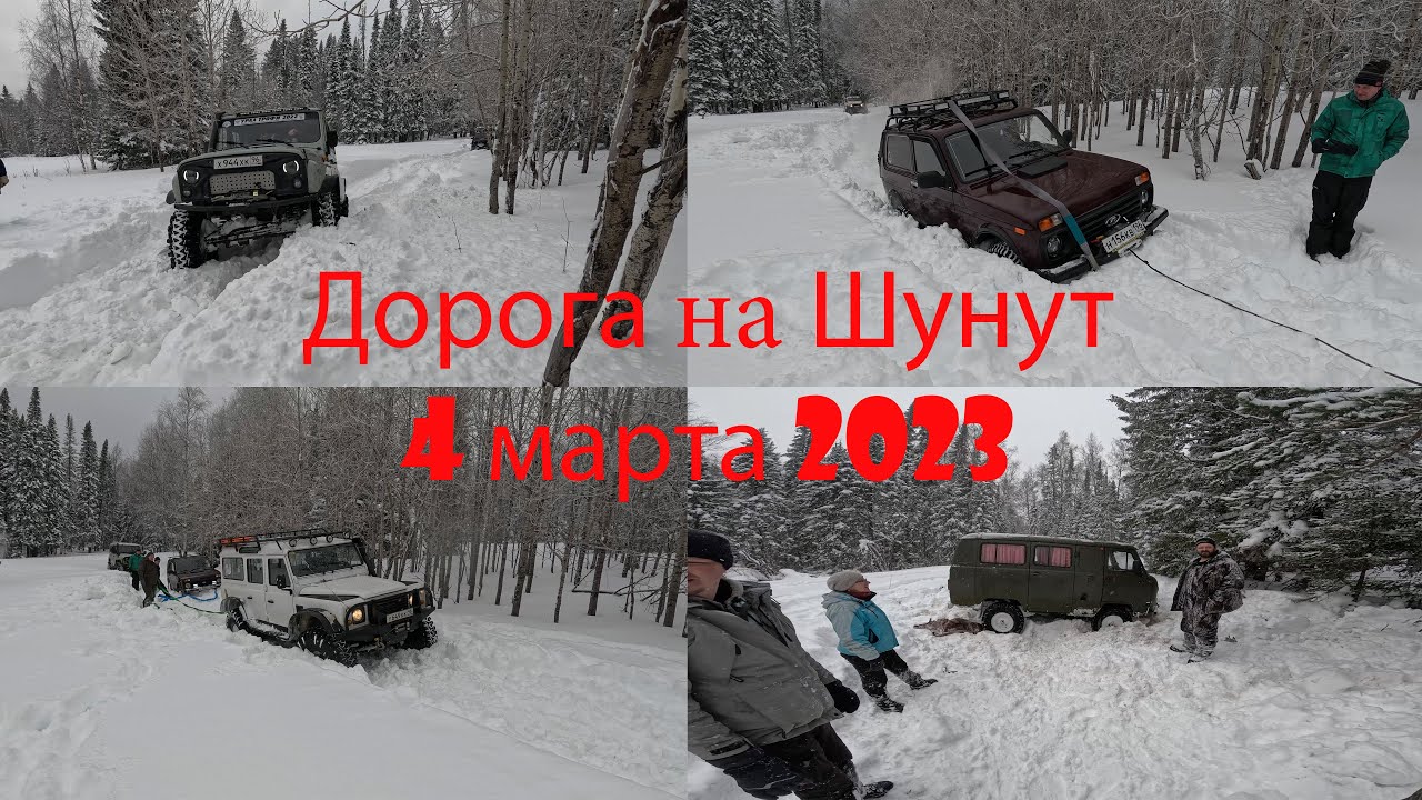 Шунут 4 марта 2023 года. Туда и обратно.
