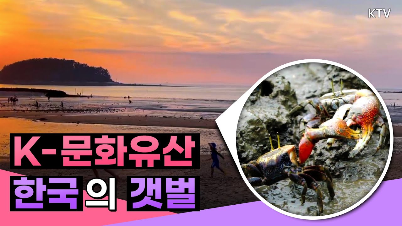 [K컬처TV _17회] K-문화유산 한국의 갯벌