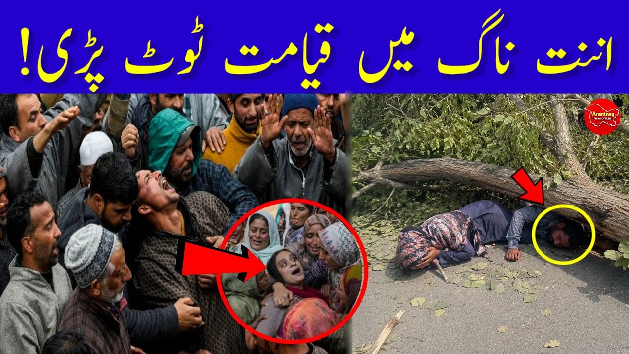 Evening Headlines || Jammu Kashmir News || 02 June 2026 || Today News 