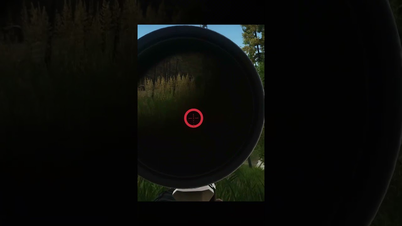 Lapua is CRACKED😂🔥 #gaming #clips #trending #aimbot #tarkov #woods #ytshorts #shorts #pc