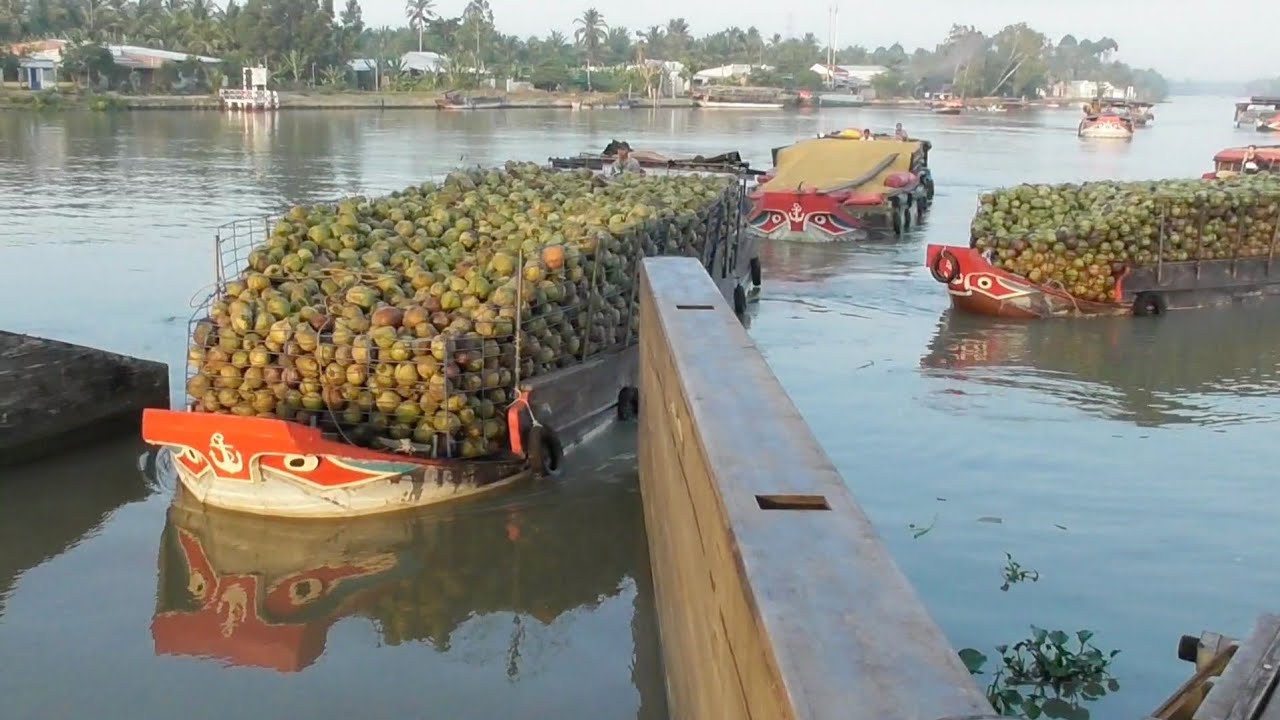 Kịch tính.Ghe.sà lan vượt cống ngăn mặn Trà Vinh