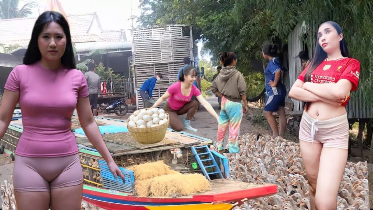 A close-up view of duck farmers busily moving over 10,000 ducks across the fields.