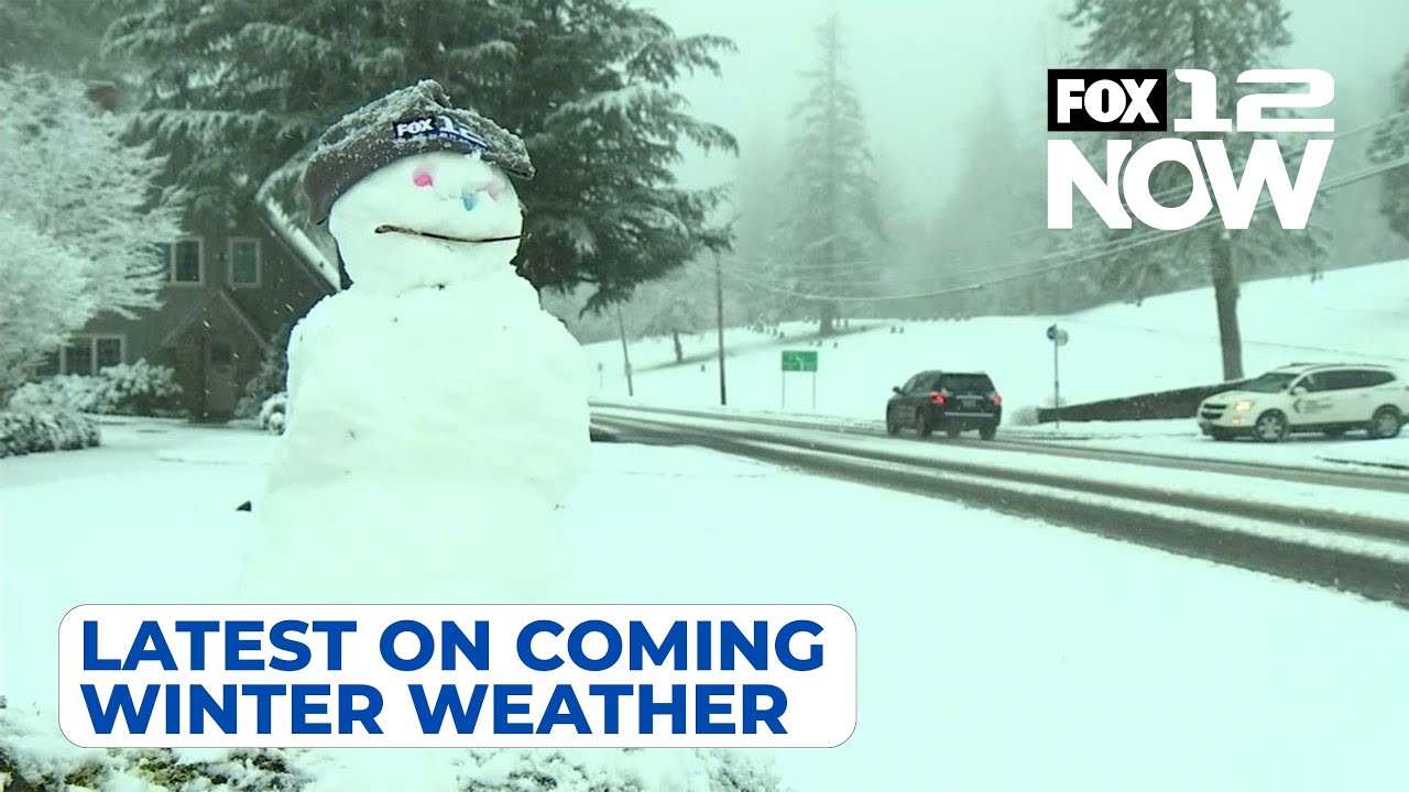 LIVE: FOX 12 weather update