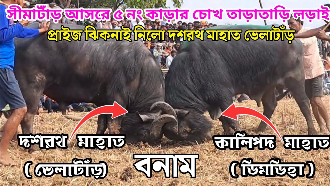 সীমাটাঁড় আসরে ৫ কাড়ার লড়াই | Simatard 5 no kara ladai | Purulia kara larai | Kara Ladai 