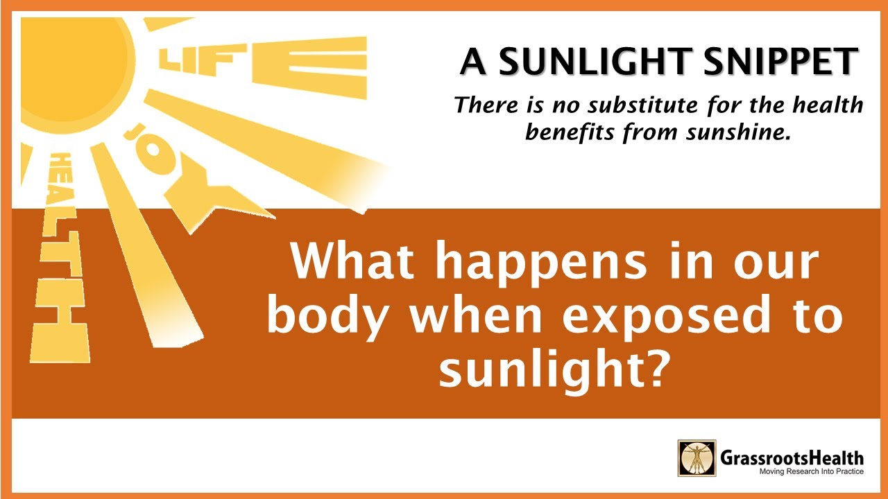 What happens in your body when it is exposed to sunlight?