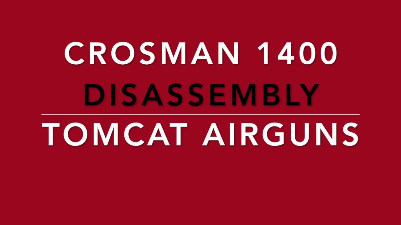 Crosman 1400 disassembly