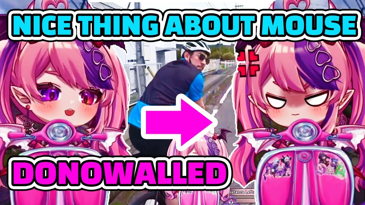 CDawgVA Angers Ironmouse for Ignoring her