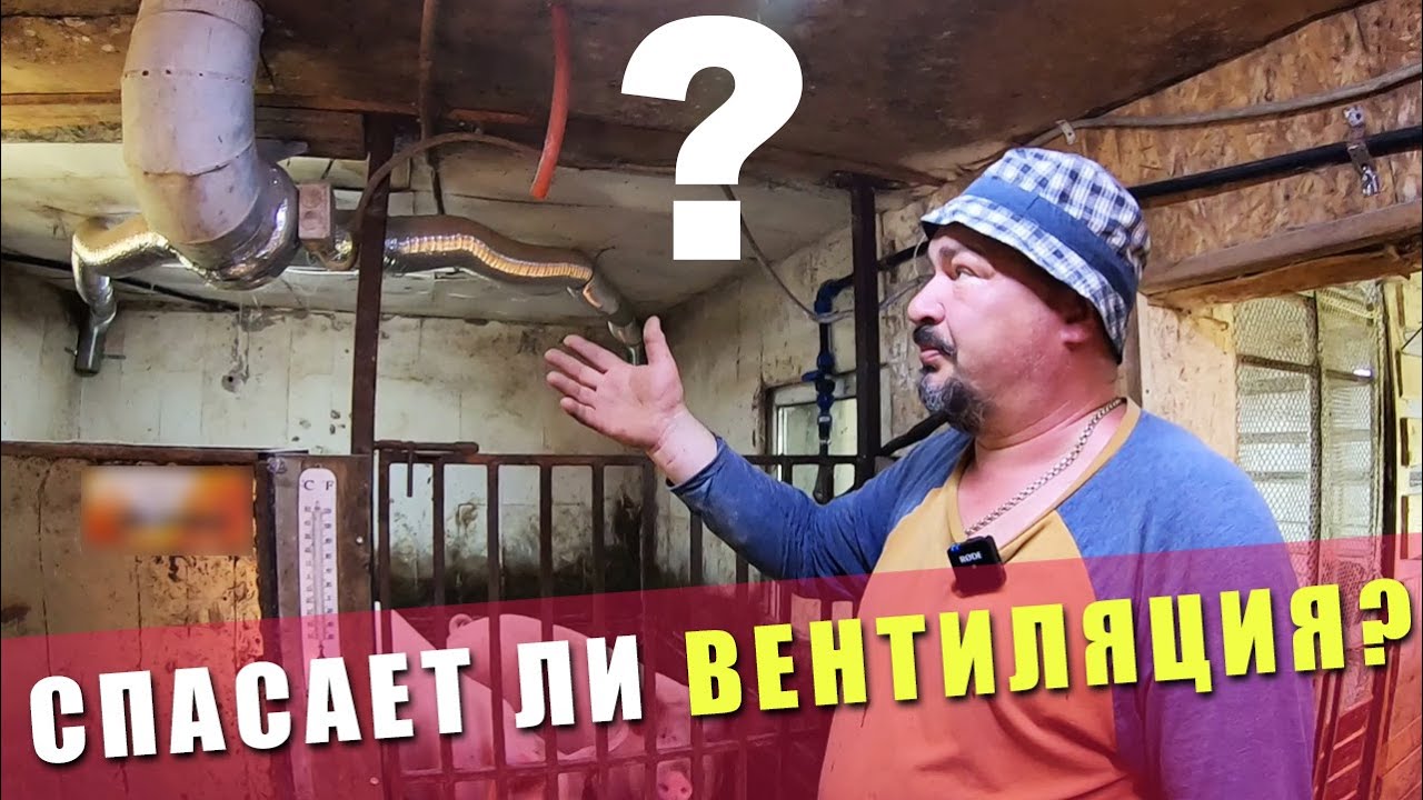 КУДА ПРОПАЛИ СВИНОВОДЫ ? | Вентиляция в Свинарнике | Свиноводство в деревне | Как живется в деревне