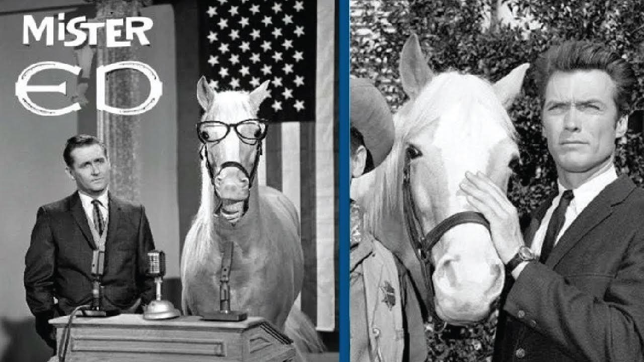 This is How Mister Ed the Talking Horse Died