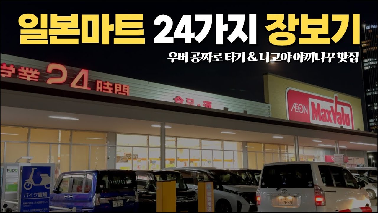 ENG)일본 대형마트 24가지 8만원대 장보기 feat.나고야 우정&쇼핑 여행ㅣ맥스밸류ㅣ일본택시 공짜로 타는 법ㅣ야끼니꾸 맛집ㅣ
