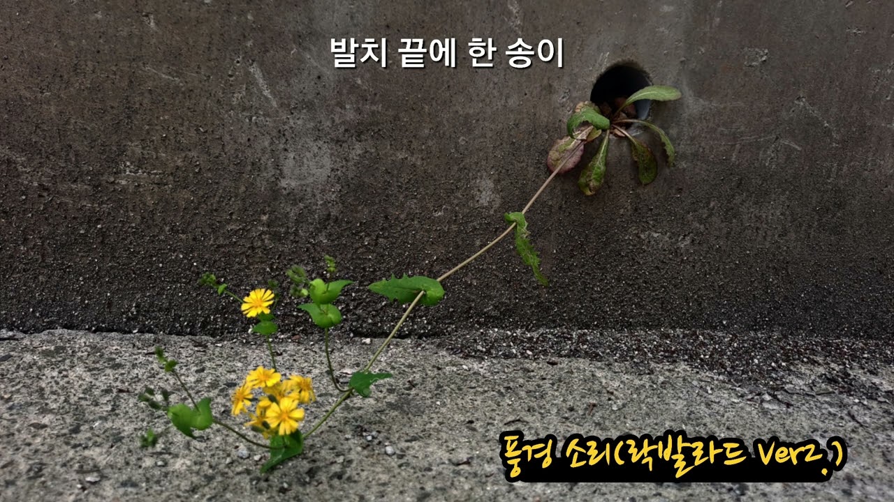 [노래가 된 시조] 풍경 소리(락발라드 Ver2.) 작시조 : 김광재. 곡 : Suno Ver5.  