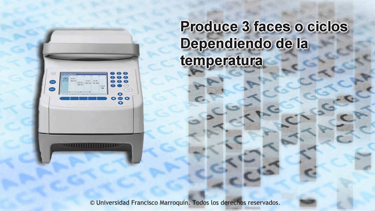 PCR en tiempo real