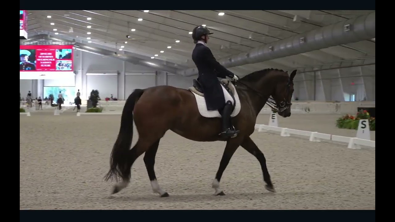 Feerie FEI Intermediate I   WEC October 2025   64.412