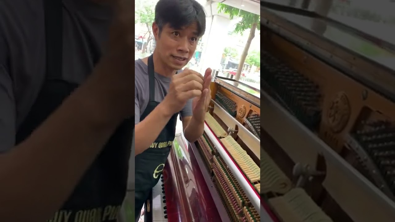Clip 1: BẢO QUẢN ĐÀN PIANO : Sấy đàn thế nào sẽ LÀM HỎNG MỘT CÂY ĐÀN (!)