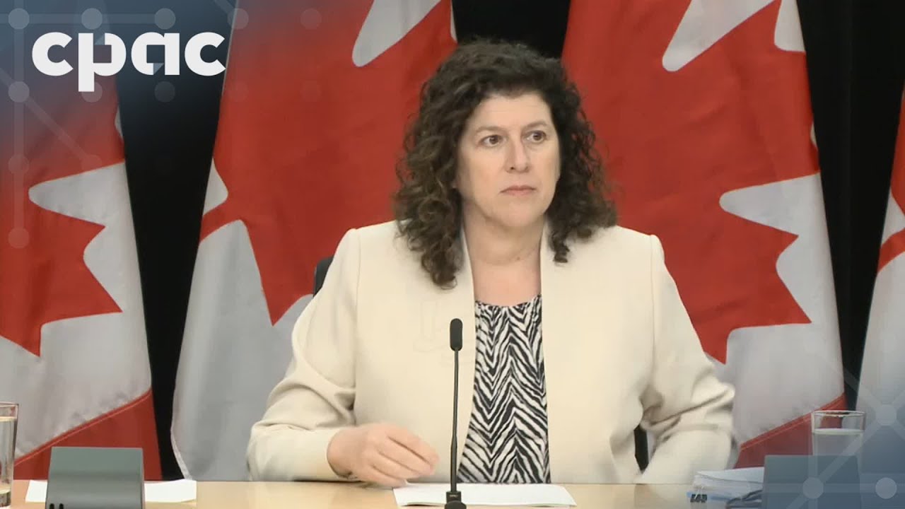Auditor general Karen Hogan discusses reports on McKinsey contracts, federal green fund, cybercrime