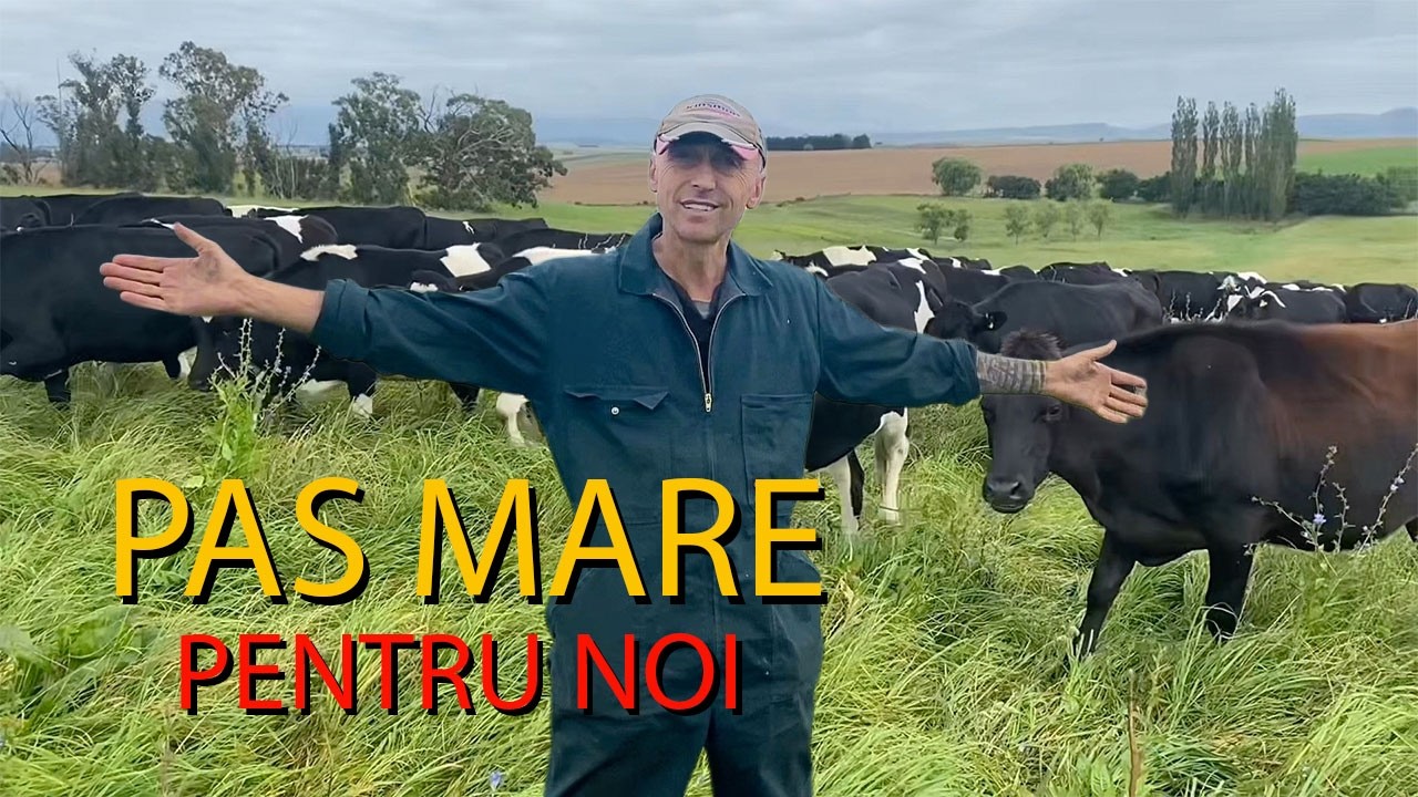 Ep. 92 | Brumă în fermă, o mașină mai bătrână ca mine… și lansarea membershipului!